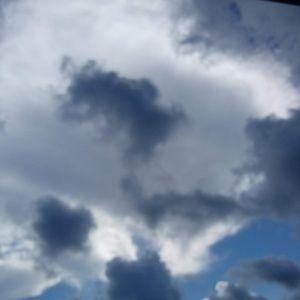 Meet your Posher, Cris